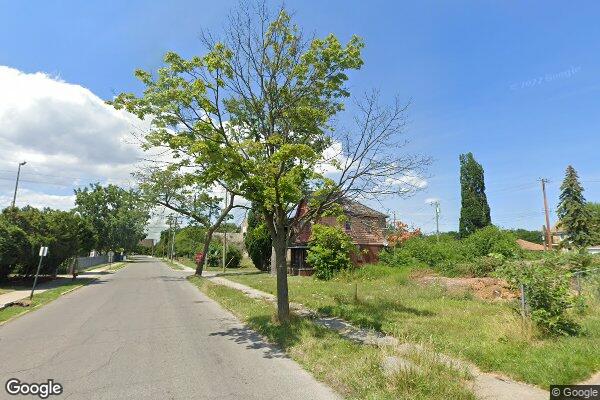 Street view of Detroit Historical Society
